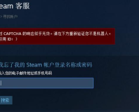 steam找密码错误captcha响应(captcha的响应解决办法)