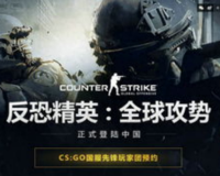 csgo开黑平台有哪些(完美平台战队怎么拉人)