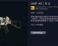 吃鸡里的ump45是什么枪啊(UMP45枪械分析及使用技巧)