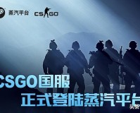 csgo国服的启动选项(如何设置csgo国服启动项)