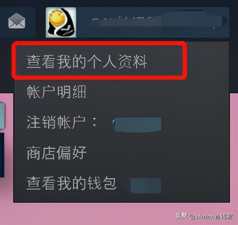 steam隐藏游戏不让好友看到（steam怎么不让别人看到我）