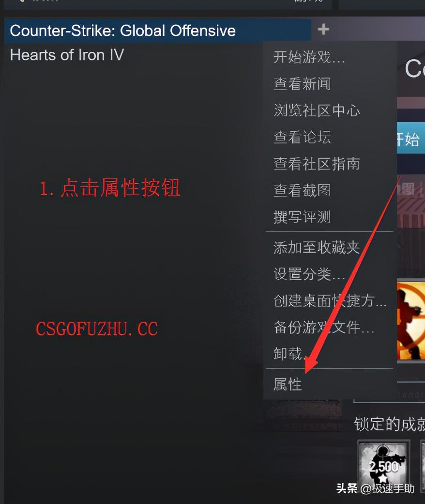 csgo国服启动项在哪设置（如何设置csgo国服启动项）