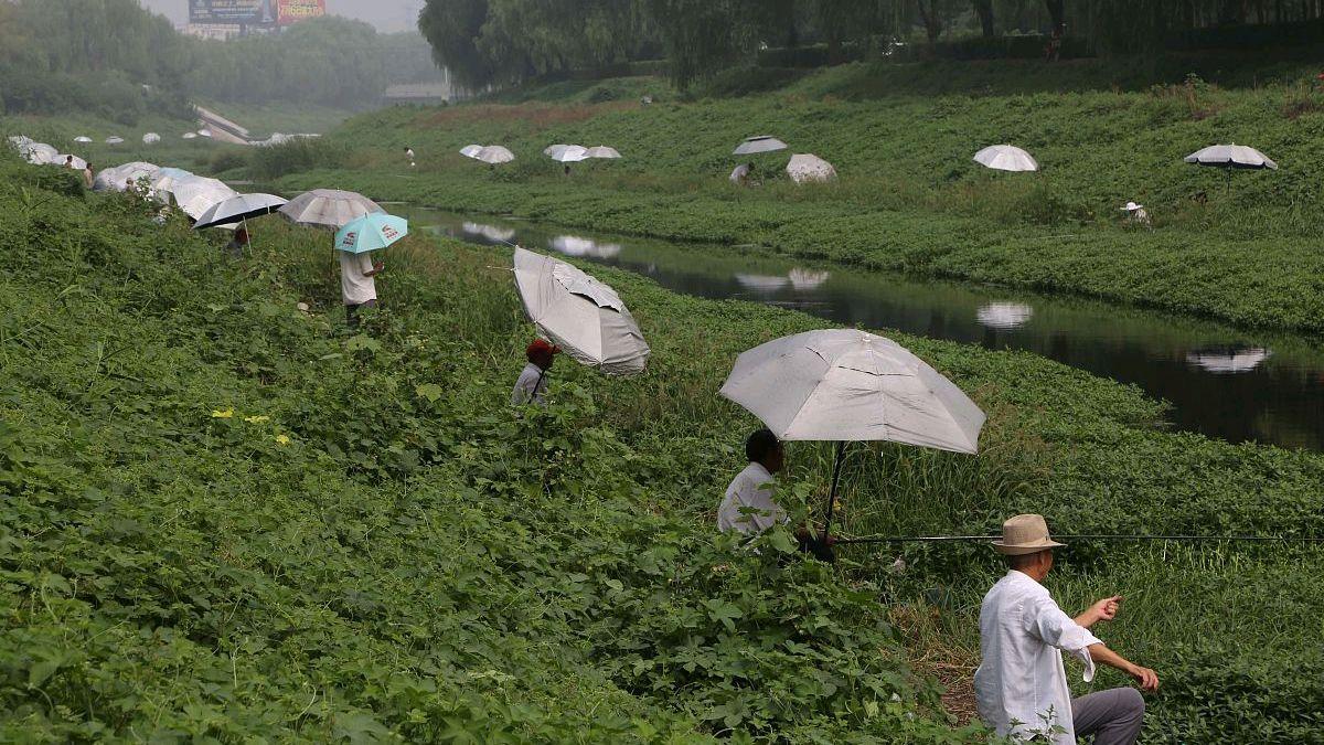 新鲜的大鱼在什么位置能钓到（钓鱼最佳钓点盘点）