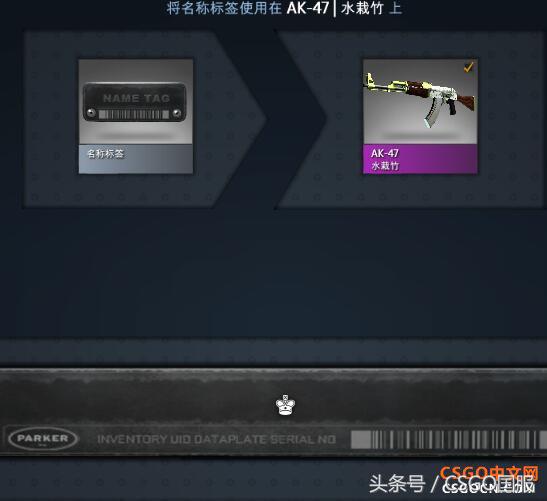 csgo改名卡怎么改中文（转换代码轻松给武器改中文名）