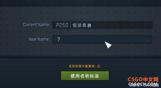 csgo改名卡怎么改中文（转换代码轻松给武器改中文名）