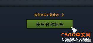 csgo改名卡怎么改中文（转换代码轻松给武器改中文名）