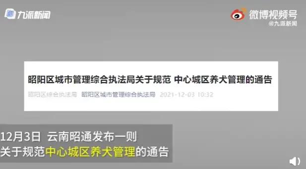 只能半夜遛狗，最严养狗狗令为何能支持者众？