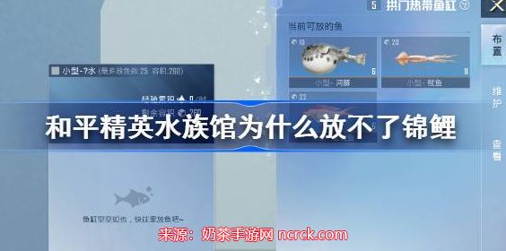 和平精英水族馆为什么放不了锦鲤(水族馆不能放鱼原因)