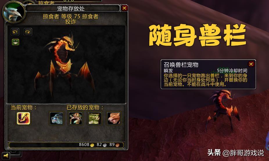 魔兽世界正式服射击猎人宝宝（魔兽世界正式服猎人最好的宝宝）