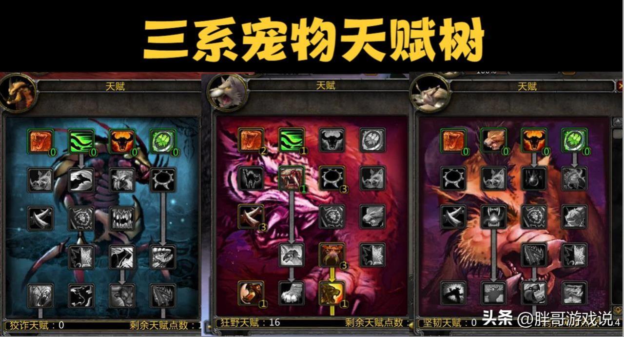 魔兽世界正式服射击猎人宝宝（魔兽世界正式服猎人最好的宝宝）