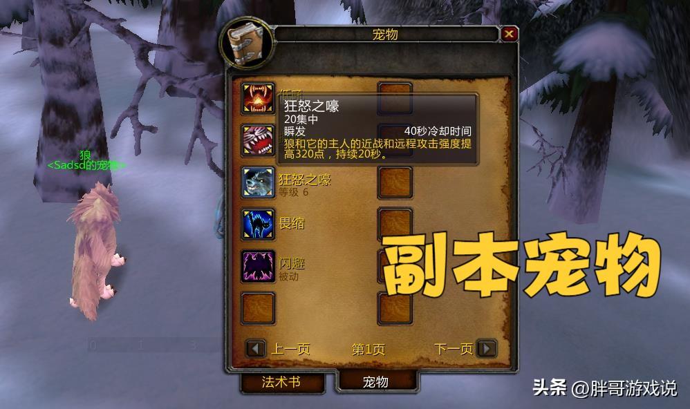 魔兽世界正式服射击猎人宝宝（魔兽世界正式服猎人最好的宝宝）